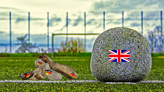 仅反映了对 仅反映了对