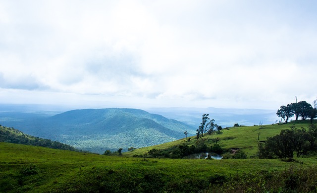 这是否会影 这是否会影