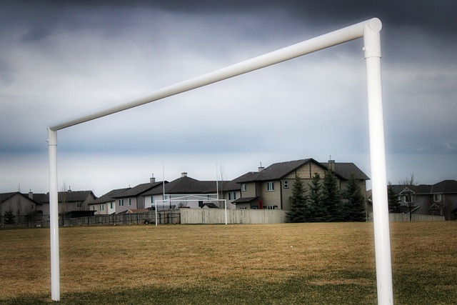 纳尔的精彩